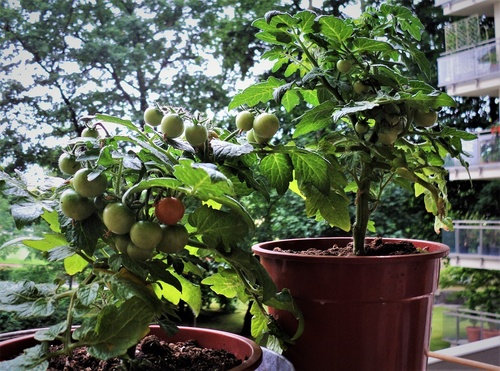 zaaranżuj balkon, na którym wypoczywa się z przyjemnością 